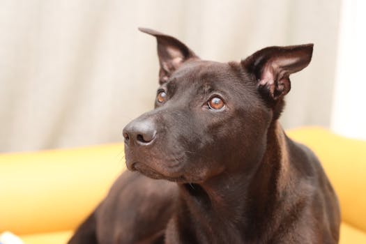 Nastavte Si Upozornění na Výhry a Bonusy ve Sazka Účtu!