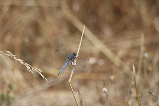 Jak Provably Fair revolucionalizuje svět kryptokasin